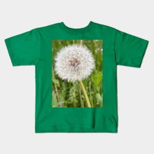 Dandelion flower Kids T-Shirt